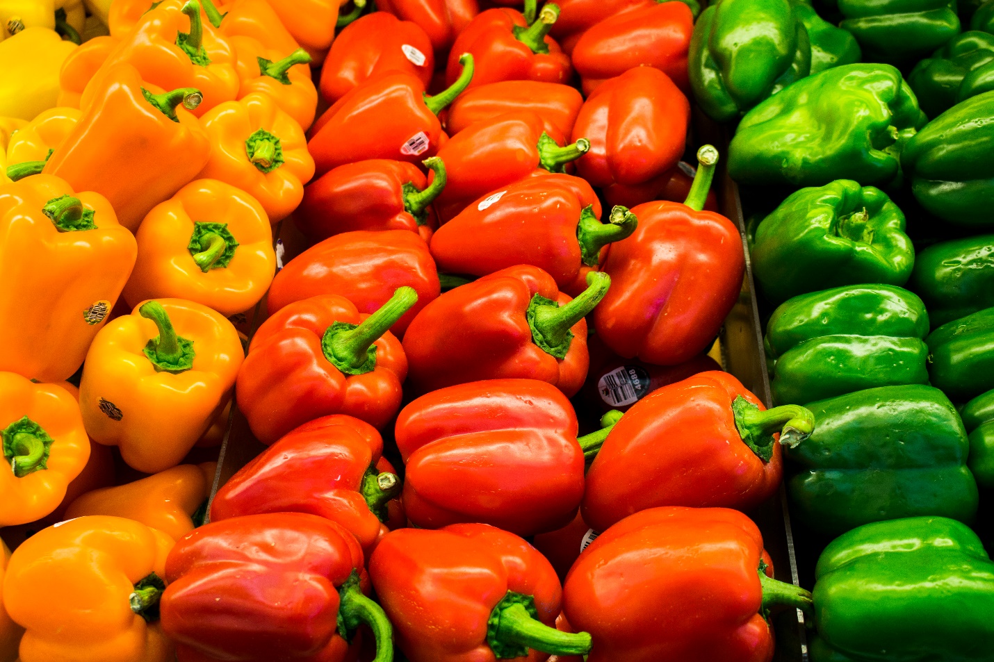 A pile of colorful peppers

Description automatically generated