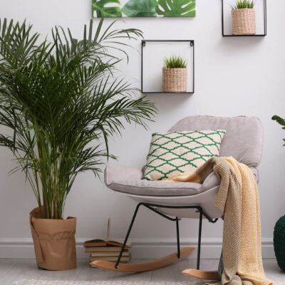 5 Tips To Make Your Home More Environment Friendly