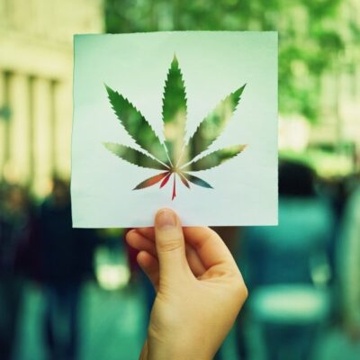 Medical Cannabis Trends Entrepreneurs Need to Know
