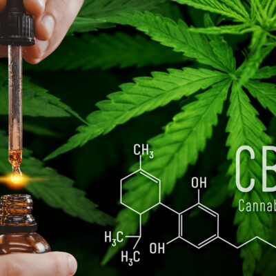 What Everyone Should Know About Cannabidiol (CBD)