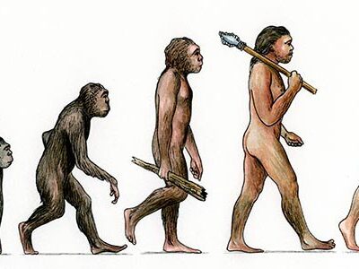 Mysteries of Human Evolution – Unresolved Questions on Why We Are the Way We Are