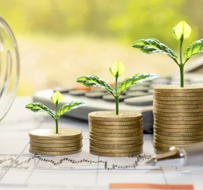 Green Incentives: Leveraging Capital Allowances for Eco-Friendly Investments